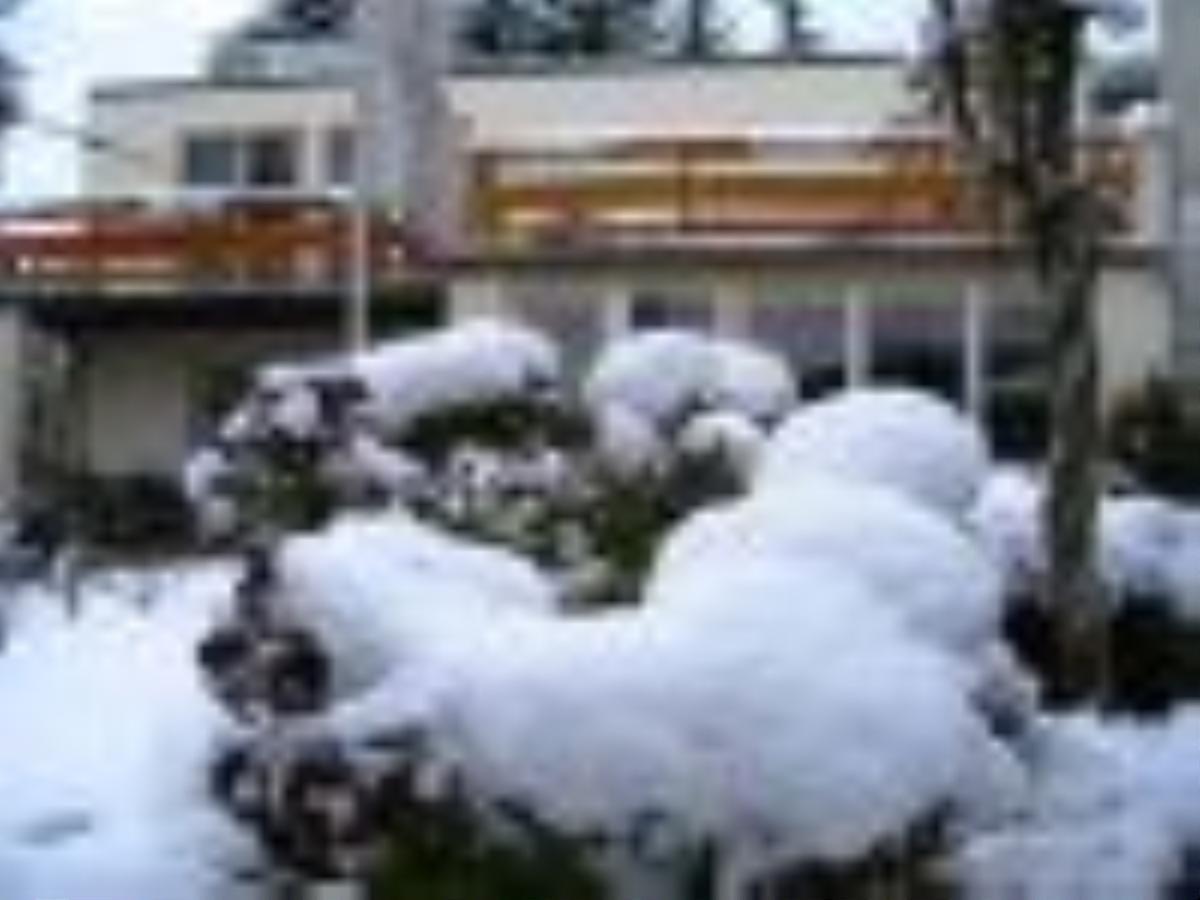Pension Puschmann ケムニッツ エクステリア 写真